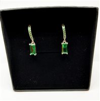 Orecchini Venerio Donna in Argento Zircone OR 42 V - OR 42 V